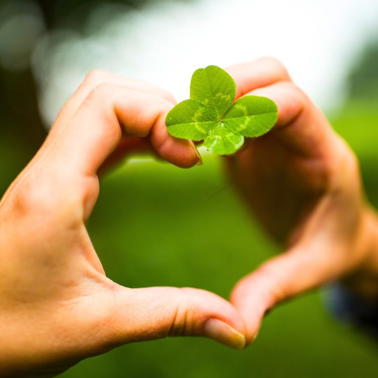 Voyance 578 Name <strong><em>Surname</em></strong>